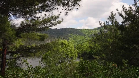Lakeside view in the Rurals in a forest Vidéo 283854740