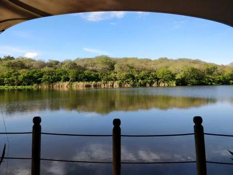 Lakeside view through the trees to the lake 스톡 사진