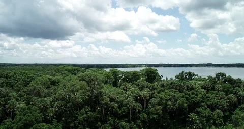 Lakeside view at Trimble Park - Florida Stock Footage 91305962