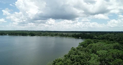 Lakeside view at Trimble Park - Florida Stock Footage 91308558