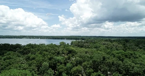 Lakeside view at Trimble Park - Florida Stock Footage 91308712