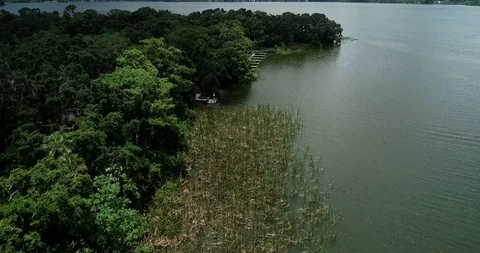 Lakeside view at Trimble Park - Florida Stock Footage 91308810
