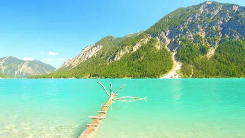 Lakeside Views and Alpine Forest Backdrops at Plansee  A Nature-Filled Getawa Stock Footage 308649501