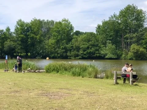 Lakeside Views Stock Footage 277773387