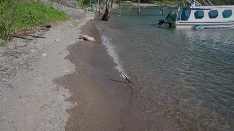 Lakeside Walk  Stock Footage 293757167