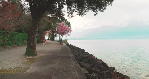 Lakeside Walking Path with Spring Blossoms Along Lake Geneva Switzerland Stock Footage 337435219