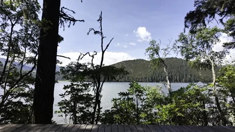 Lakeside Wooden Deck with Trees and Calm Blue Lake Stock Footage 340130901