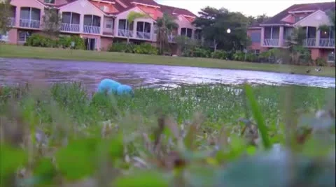 LakeTeddy Stock Footage 10745292