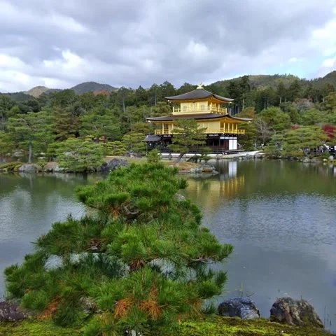 Lakeview and temple Stock Footage 236265697