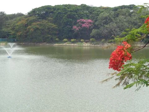 Lakeview in lalbagh biological park Stock Photos