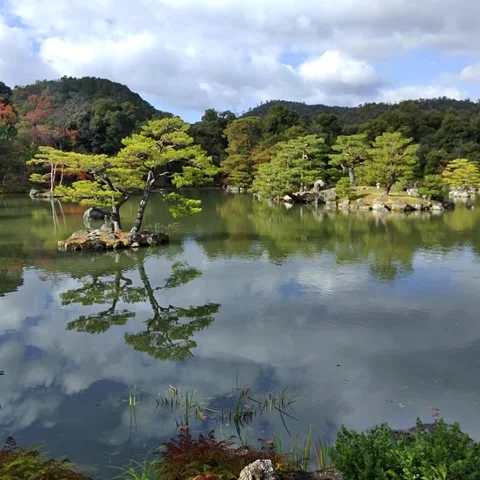 Lakeview landscape Stock Footage 236265764