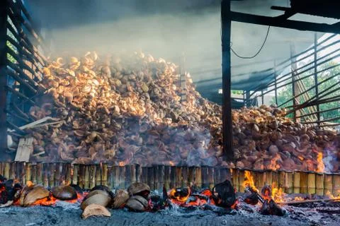 Lam burned Stock Photos