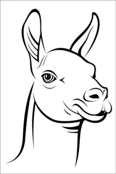 Lama Stock Illustration