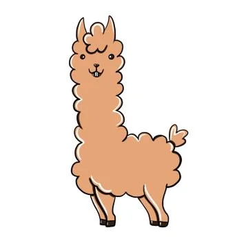Lama Stock Illustration