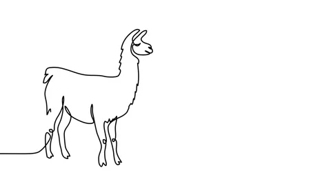 Lama or alpaca wool, yarn. Single line animated illustration. One continuous Stock Footage 302573555