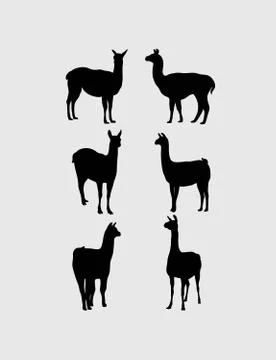 Lama Silhouettes Illustrazione stock
