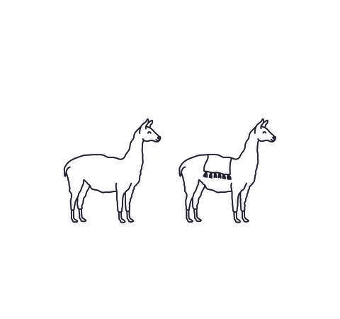 Lamas Stock Illustration