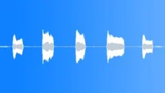 Lamb and bells Sound Effect