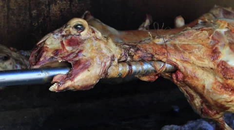 Lamb Close-Up Stock Footage 27844048