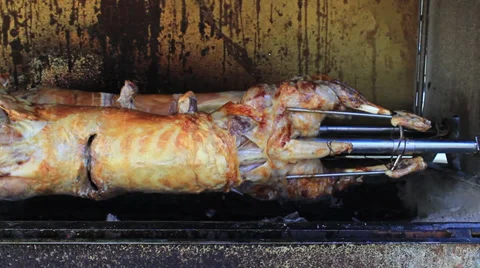 Lamb Close-Up Stock Footage 27846093