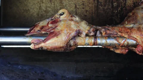 Lamb Close-Up 스톡 동영상 27847171