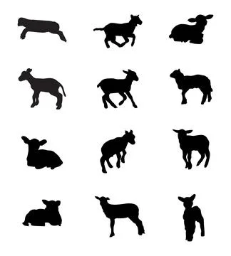 Lamb Collection Stock Illustration