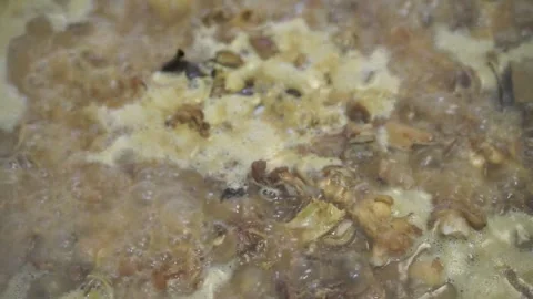 Lamb curry, cooking over fire, hot until boiling in large pan, authentic detail Stock Footage 293179017