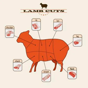 Lamb cuts Stock Illustration