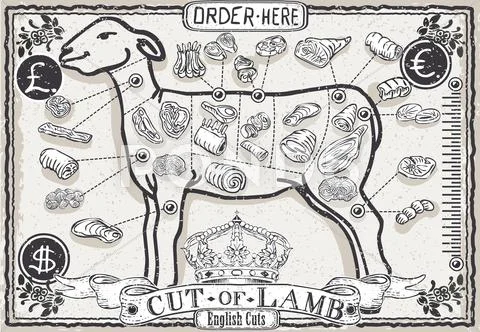 Lamb Cuts Vintage 2D