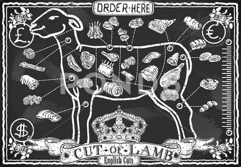 Lamb Cuts Vintage Blackboard 2D