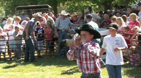 Lamb Day mutton bustin ride 6 M HD Video stock 234136