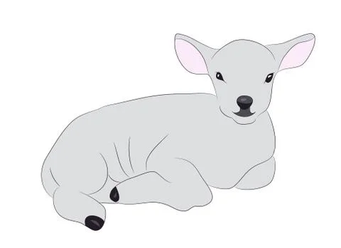 Lamb is drawing color, vector Illustrazione stock