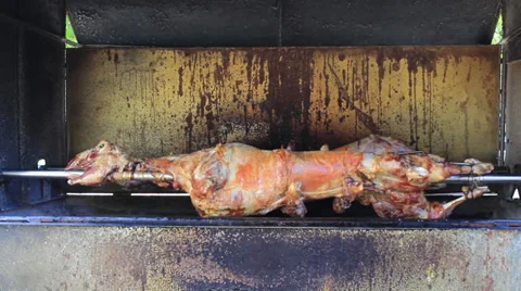 Lamb Stock Footage 27844947