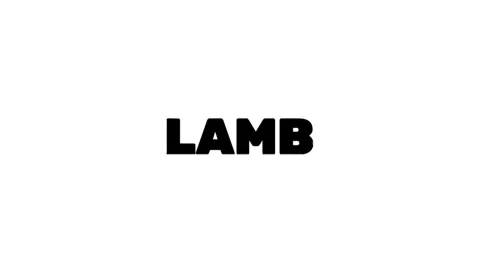 LAMB Stock Footage 341902496