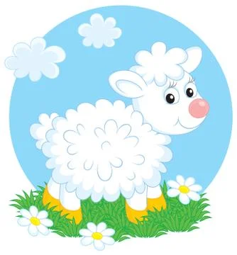 Lamb Stock Illustration