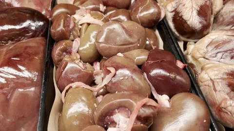 Lamb Kidney Stock Footage 239869390