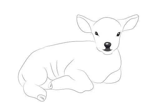 Lamb lies drawing lines, vector Illustrazione stock