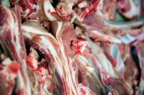 Lamb meat 스톡 사진