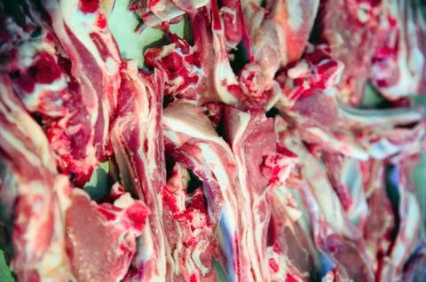 Lamb meat 写真素材