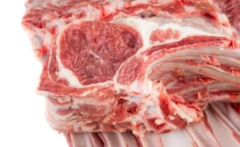 Lamb meat Stock Photos