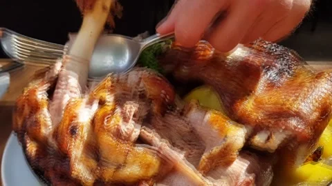 Lamb meat serving Stock Footage 229574127