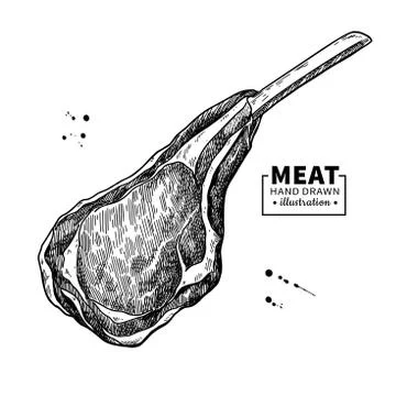 Lamb rib vector drawing. Red meat hand drawn sketch. Engraved raw food Stock Illustration