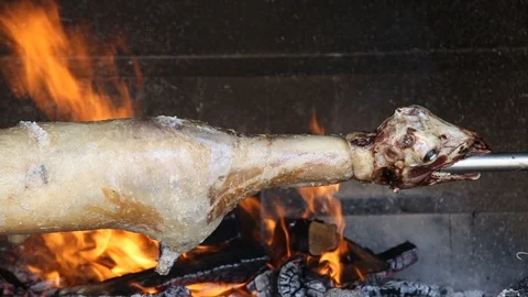 Lamb Rotating on the Spit with Fire Burning 動画素材 110769682