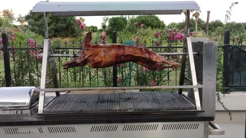 Lamb on a spi, Culinary Crispy skin, Cooking Vídeos de archivo 247342729