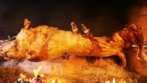 Lamb spinning for dinner  Vídeo Stock 162133440