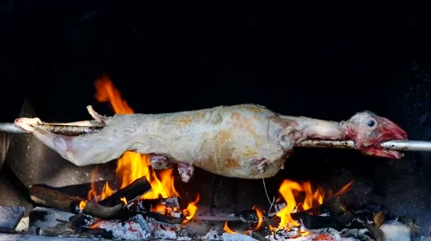 Lamb on spit over fire Stock Footage 48722232