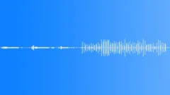 Lambasting in a sauna 2Sound Effect