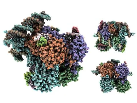 Lambda integrase molecule 스톡 일러스트