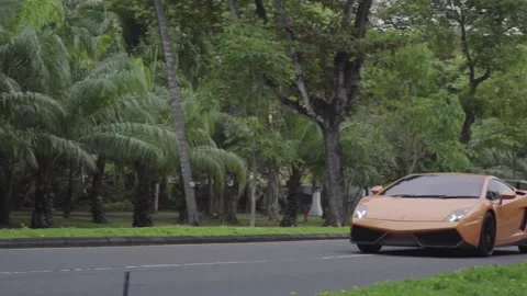 Lamborghini among palms 動画素材 158172310