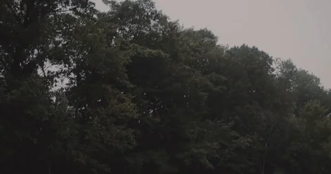 Lamborghinis parking Stock Footage 105122166